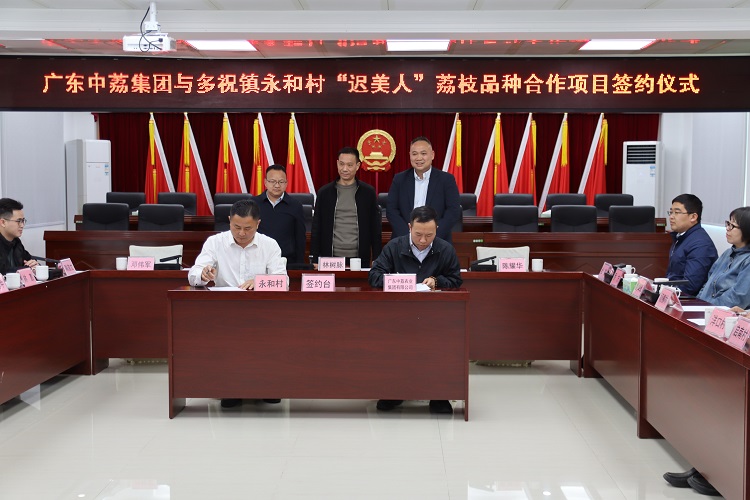 2025.3.20  廣東中荔農業(yè)集團與多祝鎮(zhèn)永和村“遲美人”荔枝品種合作項目簽約儀式 (8).JPG
